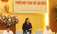 Phiên họp toàn thể lần thứ 6 Hội đồng Dân tộc của Quốc hội