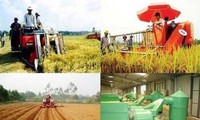 Bước chuyển ở nông thôn sau 10 năm thực hiện Nghị quyết 26