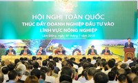 Hội nghị toàn quốc thúc đẩy doanh nghiệp đầu tư vào lĩnh vực nông nghiệp 