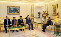 Bộ trưởng Bộ công an Tô Lâm chào xã giao Quốc vương Brunei