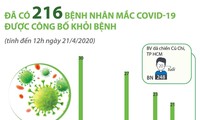 Việt Nam đã điều trị khỏi cho 216 bệnh nhân mắc Covid-19