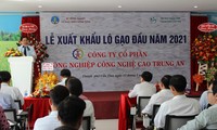 Tín hiệu vui của ngành lúa gạo Việt đâu năm mới 2021