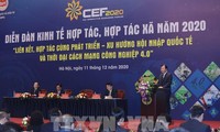 Diễn đàn kinh tế hợp tác, hợp tác xã năm 2021 dự kiến diễn ra trong quý III/2021   