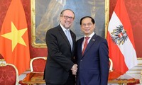 Bộ trưởng Ngoại giao Bùi Thanh Sơn gặp Bộ trưởng Ngoại giao Áo Alexander Schallenberg