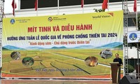 Mít tinh và Diễu hành Hưởng ứng Tuần lễ Quốc gia phòng, chống thiên tai