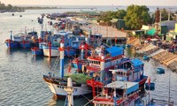 Chuyên gia Indonesia đánh giá Việt Nam có nhiều giải pháp gỡ “Thẻ vàng” IUU