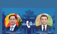 Bộ trưởng Ngoại giao Bùi Thanh Sơn điện đàm với Bộ trưởng Ngoại giao Uzbekistan