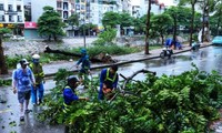 Họp báo Chính phủ về bão Yagi: 19h hôm nay Khu vực Trung du, vùng núi lượng mưa sẽ tăng cao, nguy cơ lũ quét sạt lở