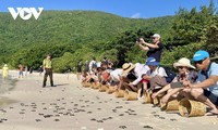 Côn Đảo – Hành trình phát triển kinh tế tuần hoàn giữa thiên nhiên hoang sơ