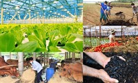Thúc đẩy kinh tế tuần hoàn trong lĩnh vực nông nghiệp