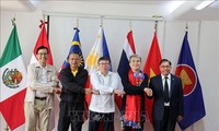 Việt Nam thể hiện tinh thần đoàn kết, trách nhiệm và hợp tác chặt chẽ trong ASEAN