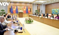 EU mong muốn tăng cường hợp tác với Việt Nam trên nhiều lĩnh vực