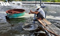Ngư dân Quảng Trị phát triển nuôi trồng hải sản bền vững