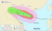 Необходимо обеспечить безопасность населения в борьбе с тайфуном Калмэджи 