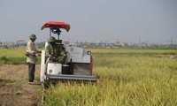 Правительство прилагает усилия для выполнения целей на 2016 год на максимальном уровне