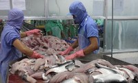 Семинар посвящён производству сельскохозяйственной и рыбной продукции дельты реки Меконг 