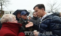 Партия премьера Марка Рютте получает больше всего мест в парламенте Нидерландов