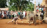 Праздник народности Ма, посвященный собранному урожаю 