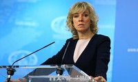 Россия призвала Запад перестать вмешиваться в работу ОЗХО в Сирии 