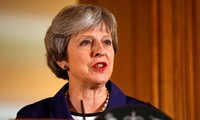 Тереза Мэй призвала проявить солидарность в решении проблемы Brexit