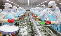 За первые 5 месяцев 2022 года экспорт морепродуктов вырос на более чем 44,5% по сравнению с аналогичным периодом 2021 года