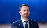 Премьер-министр Словакии заявил о желании подать в отставку