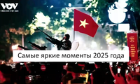 Самые яркие моменты 2025 года