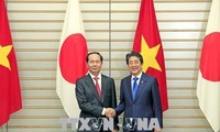 陈大光与安倍晋三举行会谈