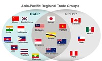 CPTPP និង RCEP ជួយប្រមូលផ្ដុំខឿនសេដ្ឋកិច្ចអាស៊ី