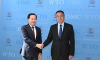 វៀតណាមគោរពតួនាទីរបស់ WTO ក្នុងការជំរុញប្រព័ន្ធពាណិជ្ជកម្មពហុភាគី