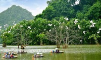 វៀតណាមអភិវឌ្ឍទេសចរណ៍អេកូឡូស៊ី ផ្សារភ្ជាប់ជាមួយនឹងការអភិរក្សជីវៈចម្រុះ