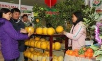 Hội chợ Xuân 2013 sẽ được khai mạc từ ngày 28/01 đến ngày 07/02/2013