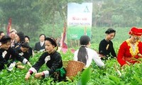 Festival Trà quốc tế lần thứ hai 