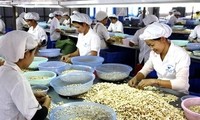 Khai mạc vòng đàm phán thứ 4 về Hiệp định thương mại tự do EU - Việt Nam 