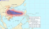 Miền Trung sẵn sàng sơ tán dân, chủ động đối phó với cơn bão số 11 (bão Nari)