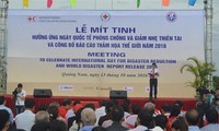 Việt Nam hưởng ứng Ngày Quốc tế phòng chống và giảm nhẹ thiên tai