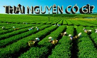 Ứng dụng công nghệ thông tin quảng bá, xúc tiến du lịch tại Thái Nguyên