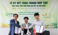 Đẩy mạnh nhập khẩu và phân phối nông sản, thực phẩm chế biến của Việt Nam tại Hàn Quốc