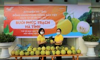 Bưởi Phúc Trạch lên sàn thương mại điện tử