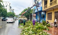 Các địa phương khu vực Đông Bắc chủ động ứng phó với hoàn lưu bão Talim