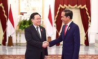 Chủ tịch Quốc hội Vương Đình Huệ hội kiến Tổng thống Indonesia Joko Widodo