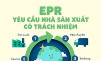 Bộ Tài nguyên và Môi trường chính thức vận hành Cổng thông tin điện tử EPR quốc gia