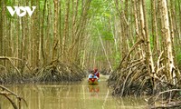 Người dân Cà Mau dựa vào rừng để phát triển bền vững