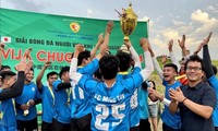 Giải bóng đá FAVIJA CHUGOKU CUP 2024: Sân chơi thể thao của người Việt tại Hiroshima, Nhật Bản