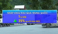 Việt Nam chi hơn 1,5 tỷ USD nhập rau quả từ Mỹ, Trung Quốc