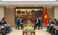 Thúc đẩy quan hệ Đối tác Chiến lược toàn diện Việt Nam - Nhật Bản