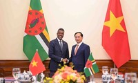 Phó Thủ tướng, Bộ trưởng Ngoại giao Bùi Thanh Sơn hội đàm với Bộ trưởng Ngoại giao Cộng đồng Thịnh vượng Dominica
