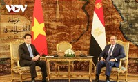 Việt Nam - Ai Cập quyết tâm nâng kim ngạch thương mại song phương lên 1 tỷ USD