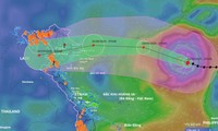 Các tỉnh, thành phố gấp rút ứng phó bão Ragasa