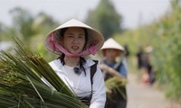 Young artists honour traditional crafts of Mekong Delta on YouTube show